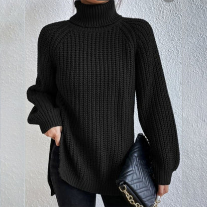 Pull tricoté à col roulé pour femme - Molinse